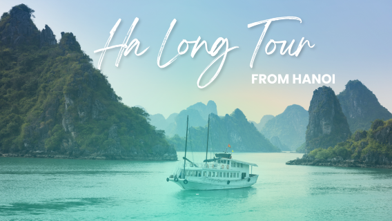 Private City Transfer From Ha Noi To Ha Long Bay