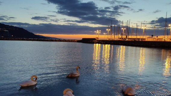 法國尼斯堡丘公園-尼斯老城-馬塞納廣場【中文專車-愜意舒適】