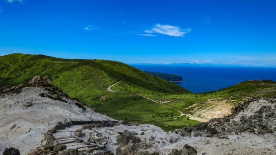 Book after consultation / Mt. Hakodate Observatory, Goryokaku Tower, Goryokaku Park, Hachiman Slope, Kanemori Red Brick Warehouse / Airport / Point-to-point car service / Tour guide service / Private car service