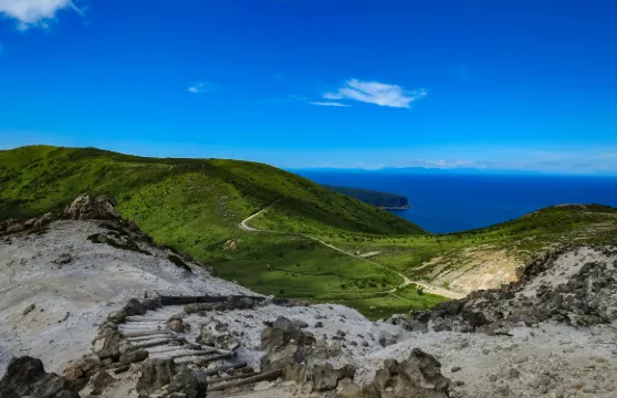諮詢後下單/日本函館山觀景台五稜郭塔郭公園八幡坂金森紅磚倉庫/機場/點對點用車/旅遊旅行司導/專車服務