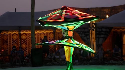 Abu Dhabi: Desert Safari with Central/ Home & Hotel Pickup, Dinner, Live Shows and Sand Boarding 3