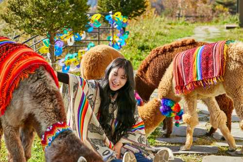 韓國南怡島+草泥馬樂園+金裕貞江村鐵路自行車日遊【首爾出發 • 熱門路線 • 經典韓劇綜藝取景地 • 親子遊情侶約會 • 四季限定】