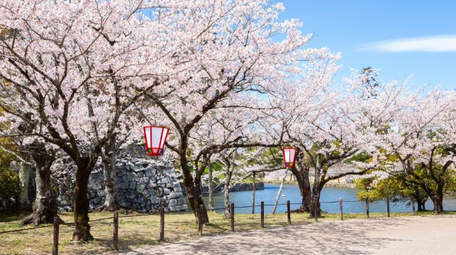 琵琶湖白鬚神社+三千院+滿月堂浮御堂+近江八幡一日遊