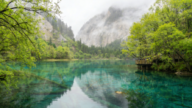 Songpan High-Speed Rail Station - Huanglong Scenic Area - Jiuzhaigou | 1-Day Tour | 5-9 Seater Private Tour | Optional Round-Trip