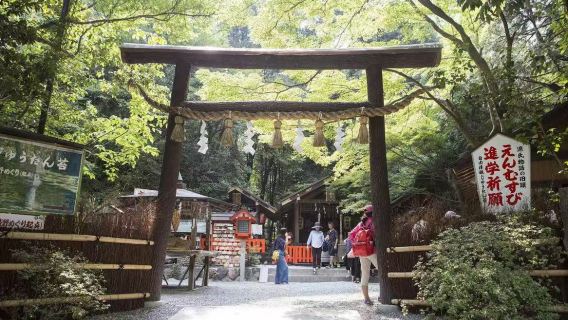 野宮神社 + 嵐山竹林小徑 + 祇王寺 + 渡月橋一日遊