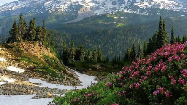 Amerika Syarikat Seattle: Taman Gunung Rainier + Air Terjun Christine [Puncak Tunggal Menembusi Awan | Pemandangan Menakjubkan]
