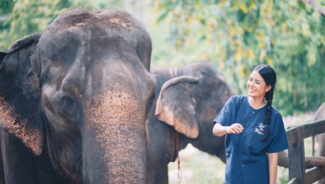 【Hug Chang】擁抱大象保護營+藍廟+粘粘瀑布一日遊