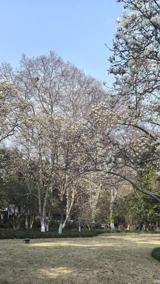 Hangzhou Qiandao Lake 1-day tour