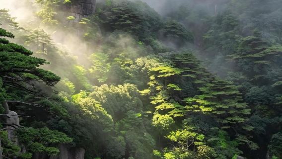 Berlepas dari Shangrao: Gunung Sanqing + Lembah Wangxian | Jemputan Pintu ke Pintu • Pemandu Pelancong Berbahasa Cina/Inggeris • Perjalanan Boleh Disesuaikan