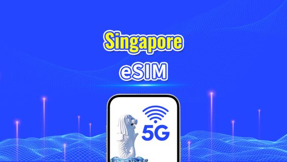 Singapore 5G eSIM | Dual Net | Daily/Total Data Package | 1–30 Days | 24-Hour Billing | QR Code