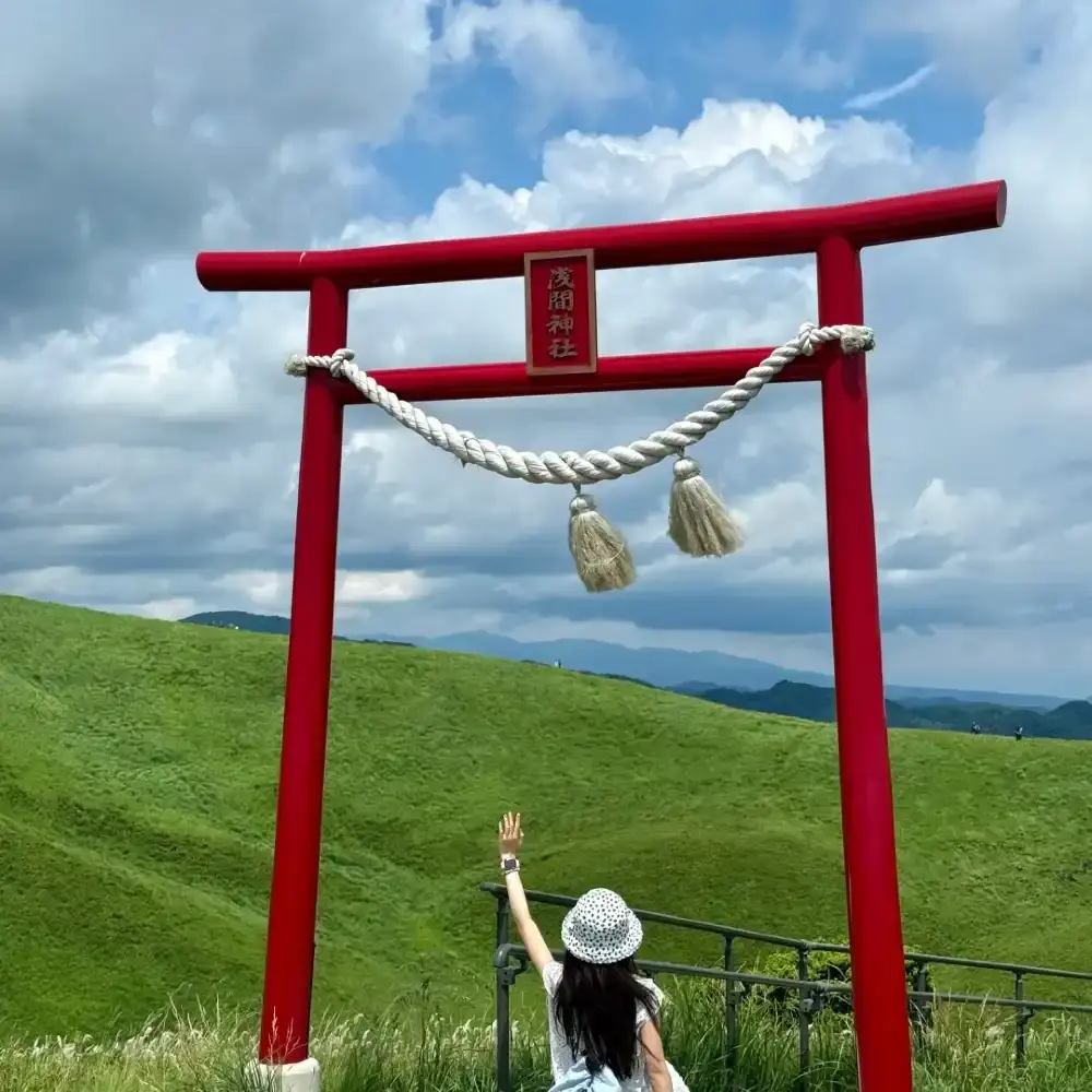 1-day tour to Izu from Tokyo: Izu Kyuko Line + Jogasaki Coast +