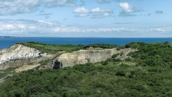 Boston: Ultimate Martha's Vineyard 1-Day Small-Group Escape