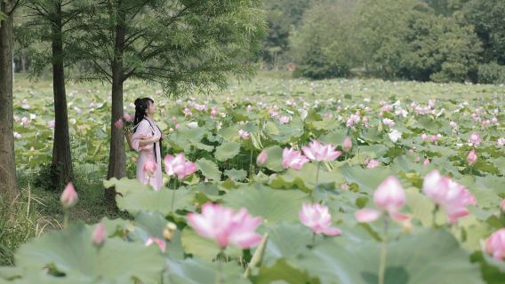 Fuzhou: Individual travel photo shoot aerial portrait couple proposal appointment shoot marriage certificate follow-up birthday photography/translation English