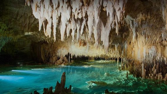 Grand CaymanTours