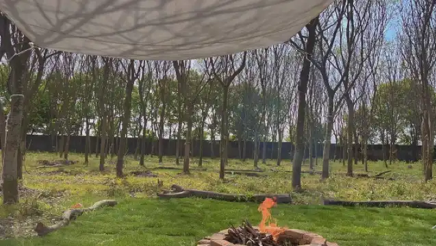 上海飯飯時光農場·不過夜露營【入場票票（大小通用）】