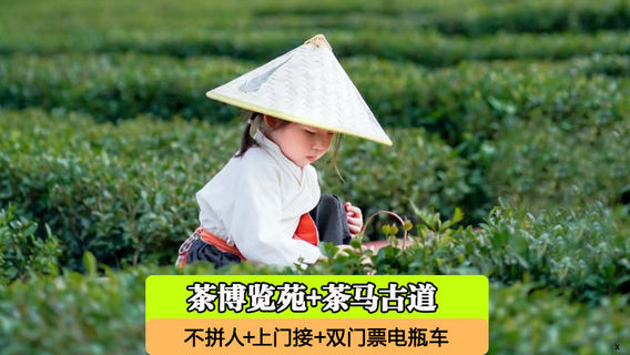 普洱日遊