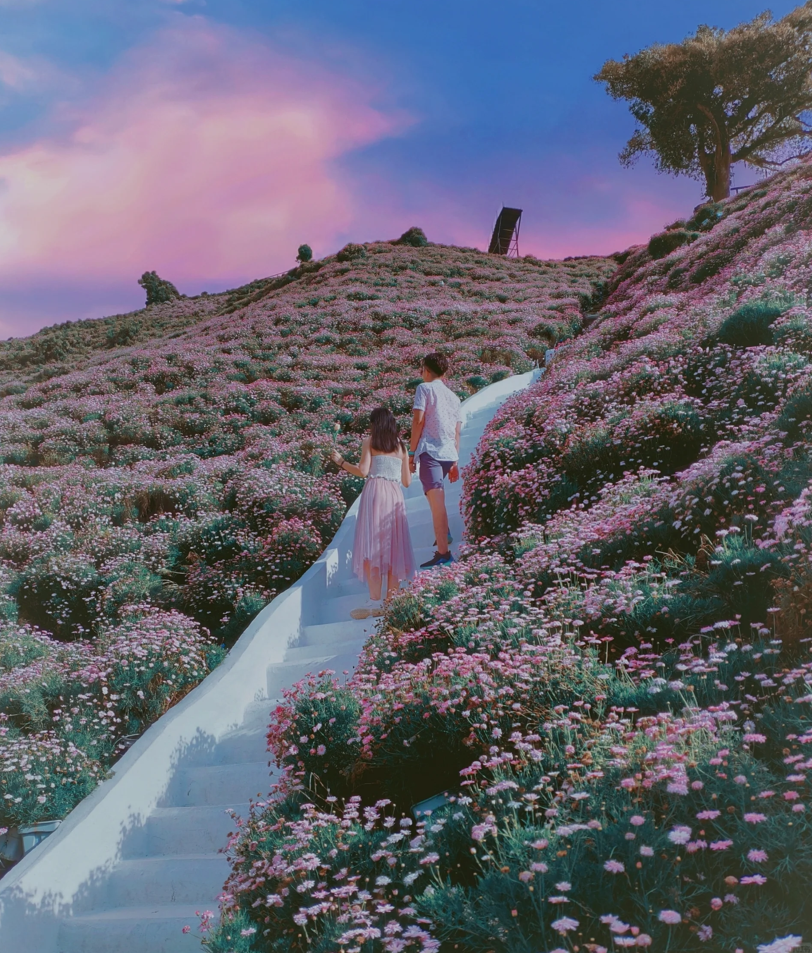 金馬倫瀑布+金馬侖高原一日遊【吉隆坡來回】