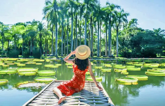 中科院熱帶植物園+傣族園一日遊可選15人團+真純玩不進店