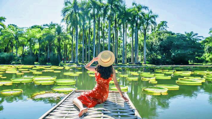 中科院熱帶植物園+傣族園一日遊可選15人團+真純玩不進店