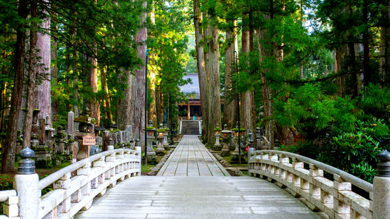 高野町日遊