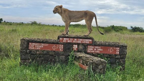 NairobiTours
