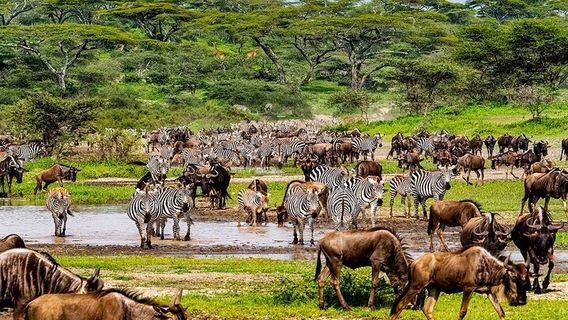 Zanzibar CityTours