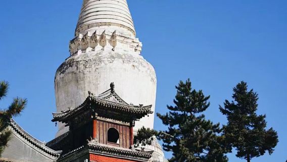 五臺日遊