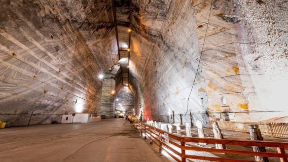 Из Бухареста: билет на соляную шахту Сланик Прахова и трансфер