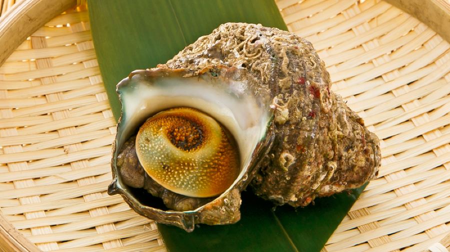 【磯丸水產官方授權預約】高CP值海鮮套餐餐券（刺身鮑魚帝王蟹等多種選擇）