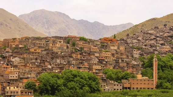 Taman Alam dan Petualangan: Tur Kelompok Kecil dari Marrakech + Makan Siang