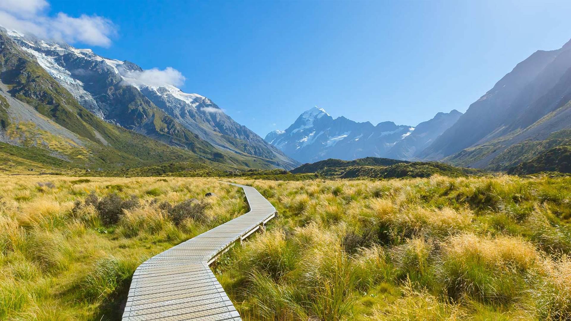 Tour giornaliero in bus turistico a Mount Cook nell'Isola del Sud della Nuova Zelanda: Quilpie - Parco nazionale Aoraki/Mount Cook (sola andata)