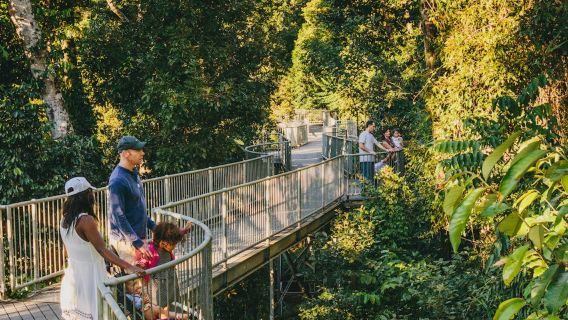 Mamu Tropical Skywalk: boleto de entrada