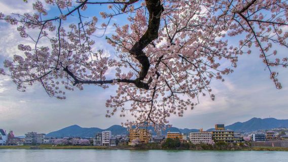 犬山市日遊