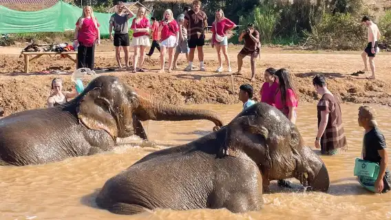 Secret Elephant Camp | Secret Elephan | Sticky Waterfall | Depart from Chiang Mai