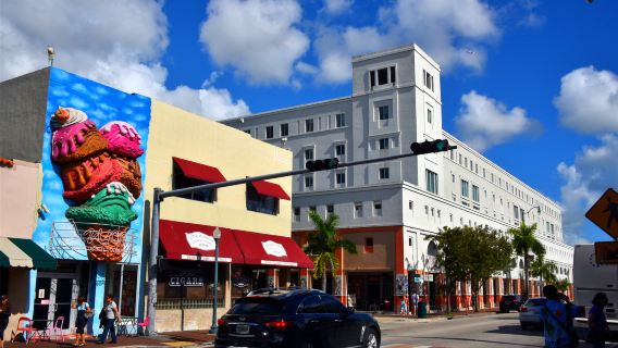 美國邁阿密大沼澤地國家公園+小哈瓦那+南海灘【中文司導】