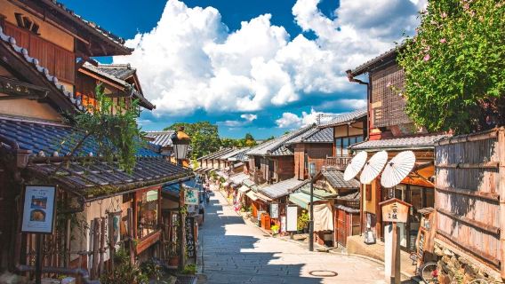 日本大阪市區/京都/奈良/神戶/宇治包車一日遊【華人司機 多地出發 上門接送 關西私人訂制包車遊】