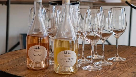 Retro side-car wine & beer tour from Aix-en-Provence