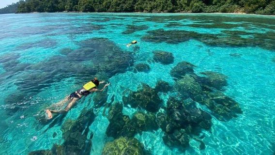 Krabi One day Koh Rok & Koh Haa Island from Aonang