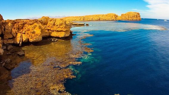 Sharm El SheikhTours