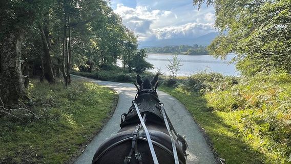 KillarneyTours