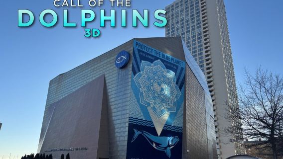 Simons Theater at the New England Aquarium: Call of the Dolphins 3D Film