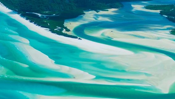 Phillip IslandTours