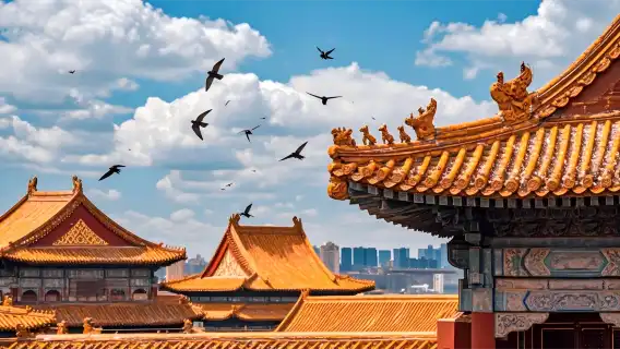 In-depth Forbidden City Tour in Beijing [Includes Tickets + Scholar's Insightful Commentary/15 or 25 Travelers/Internet-Famous Group]