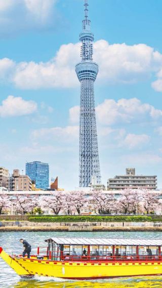 ทัวร์ 1 วันโดยเหมารถในเมืองโตเกียวและพื้นที่โดยรอบประเทศญี่ปุ่น : บริการรับส่งที่โรงแรม/ป้ายทะเบียนสีเขียวมาตรฐาน/คนขับรถพูดภาษาจีนและอังกฤษ