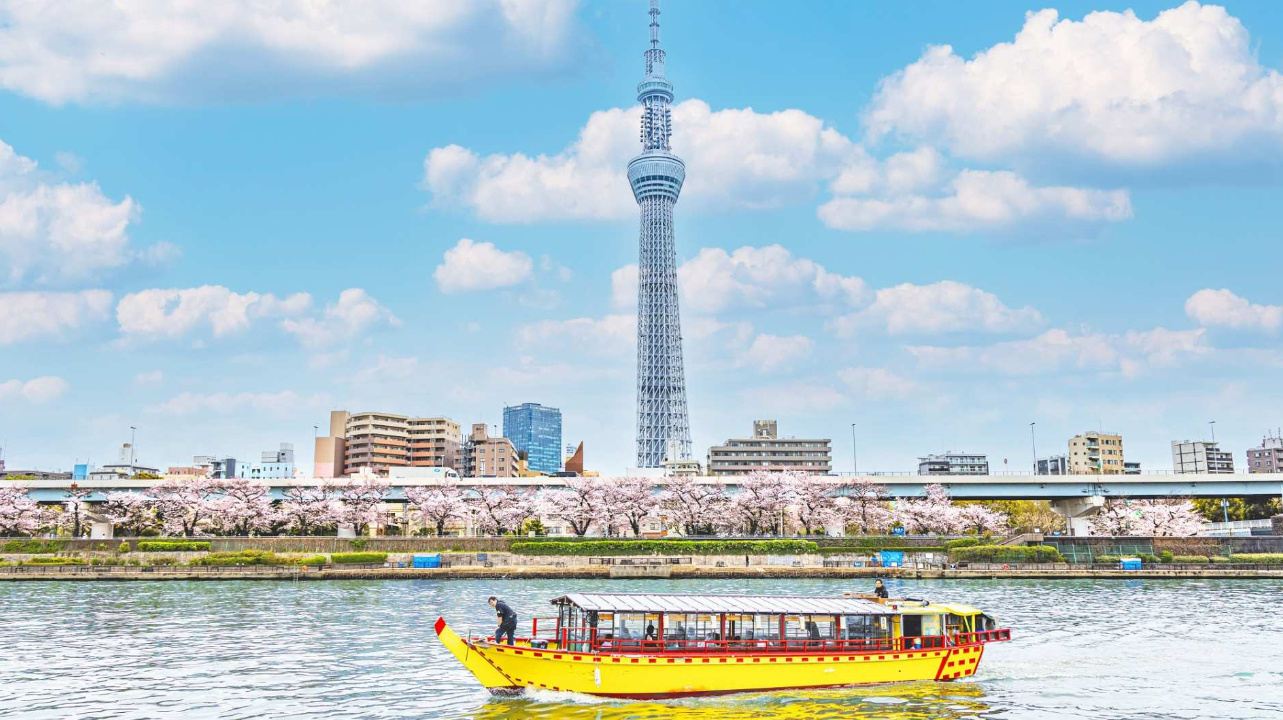 Tour di un giorno a Tokyo e dintorni con noleggio con conducente esclusivo: trasferimento dall'hotel, veicoli regolari con targa verde, autista parlante cinese e inglese.