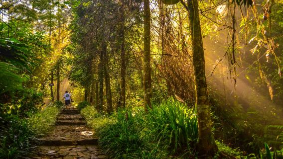 North JakartaExperiences