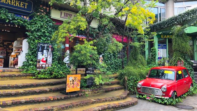 Kyushu Nature Zoo Day Tour