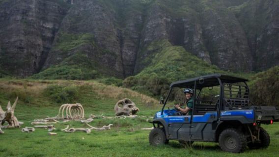 Experiencia de conducción UTV en el rancho Kualoa en Hawái