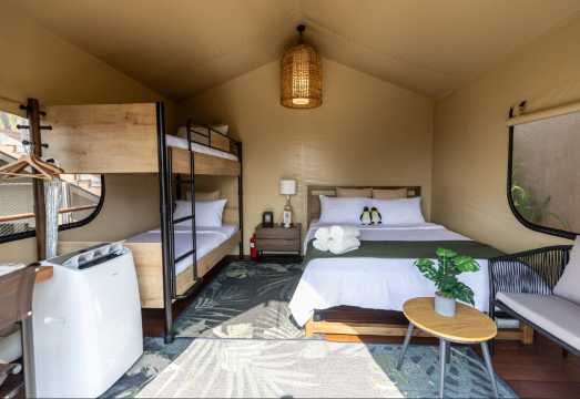 Overnight Camping at Colugo Camp, Singapore[Tent Experience + Mandai Wildlife Reserve 3-Park Admission Ticket + VIP Guided Tour + Breakfast &...