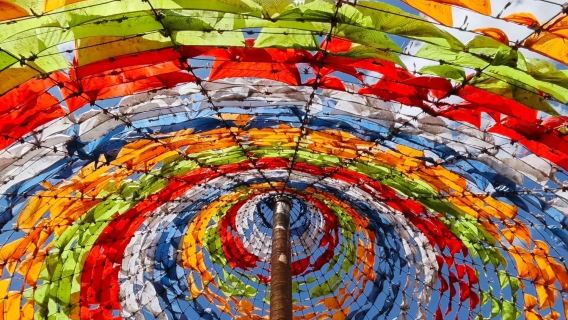 ○ Visite privée d'une journée au lac Qinghai et au temple Ta'er - Explorez les paysages naturels et la culture tibétaine
